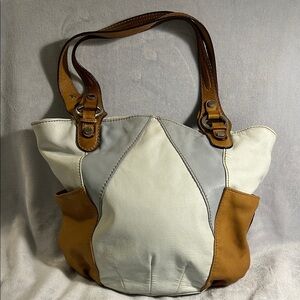 Tignanello Multi-Color Leather Tote Bag
